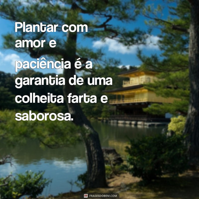 Conheça as melhores frases sobre plantar e colher sem medo do futuro 