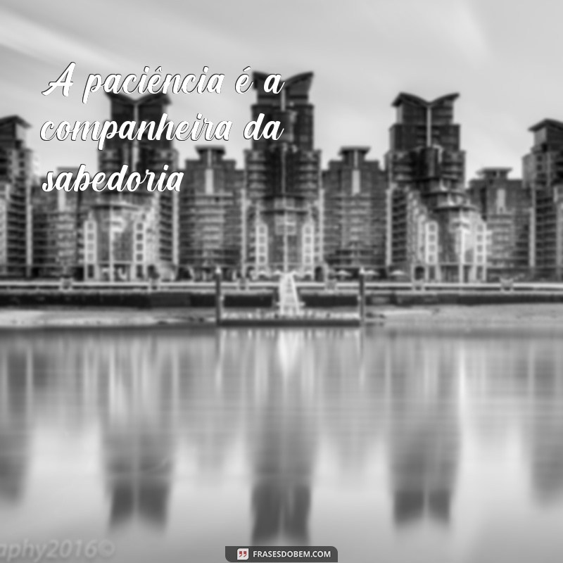 Frases Inspiradoras para Refletir e Fortalecer Sua Personalidade 