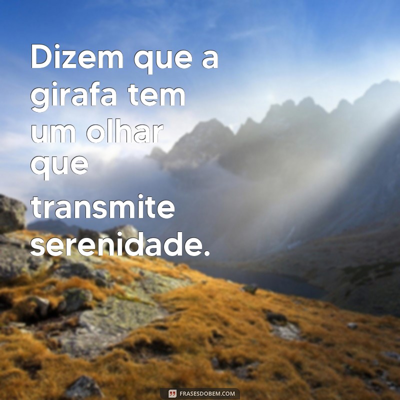 As Melhores Frases Criativas com a Palavra Girafa 