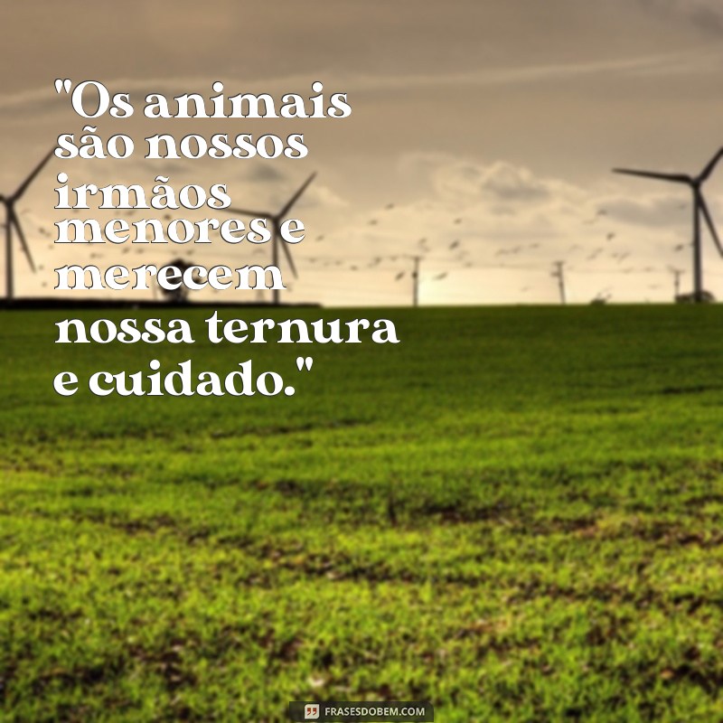 frases de sao francisco de assis sobre animais 