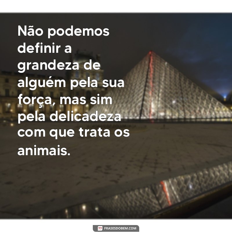 Conheça as mais belas frases de São Francisco de Assis sobre os animais 