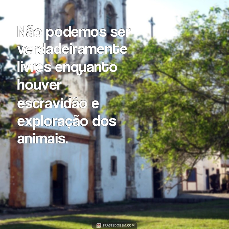 Conheça as mais belas frases de São Francisco de Assis sobre os animais 