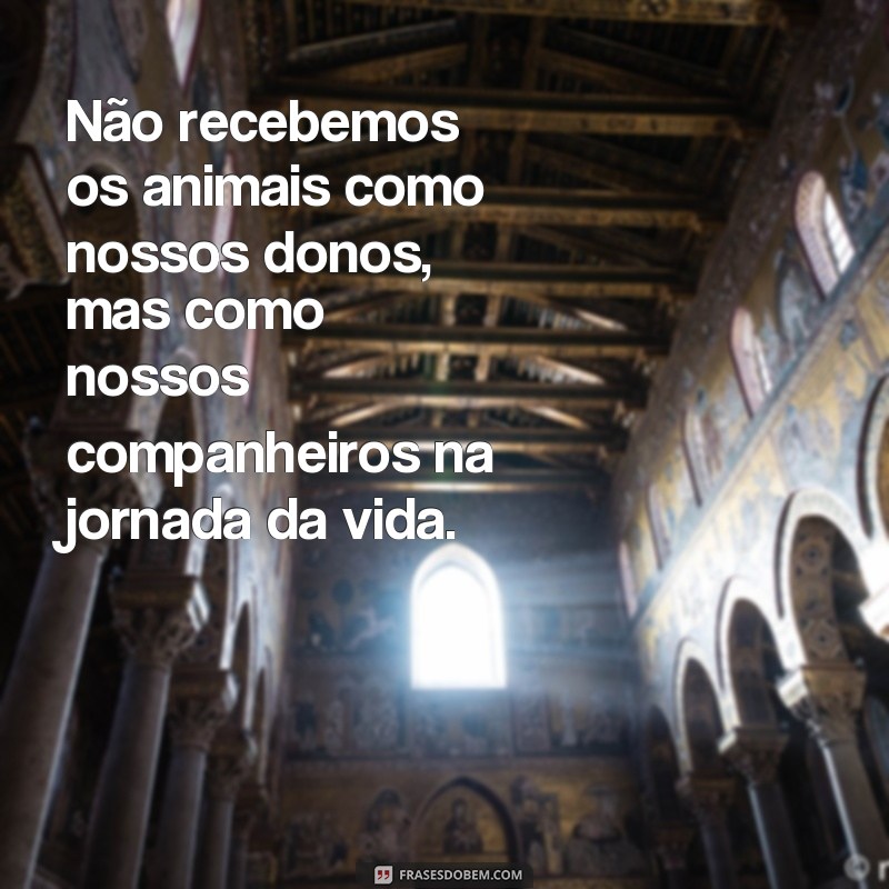 Conheça as mais belas frases de São Francisco de Assis sobre os animais 