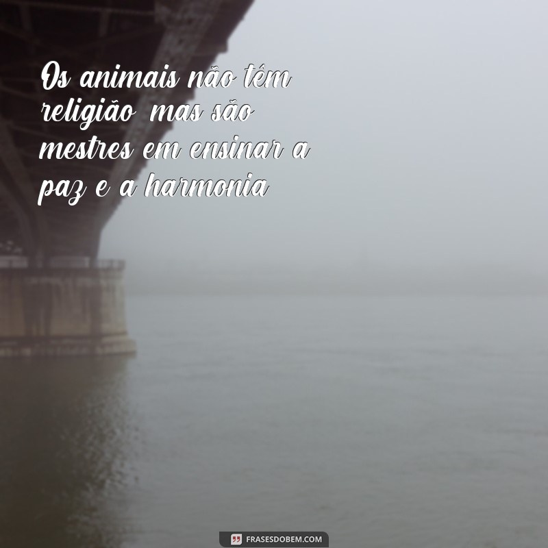 Conheça as mais belas frases de São Francisco de Assis sobre os animais 