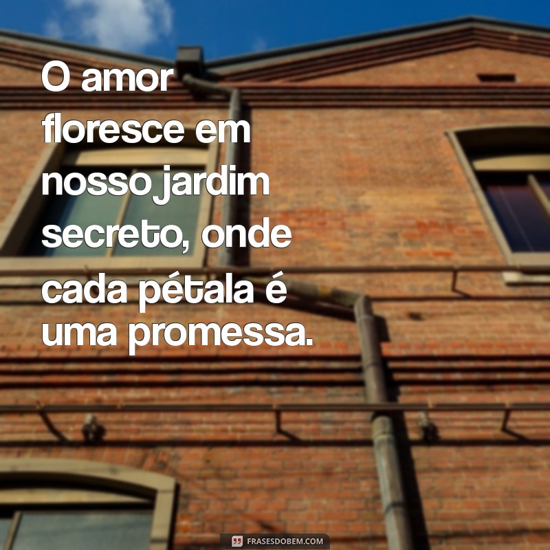 As 10 Melhores Poesias de Amor para Tocar o Coração 