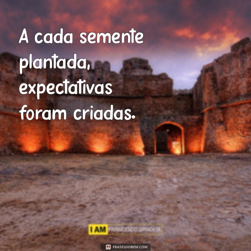 Como Lidar com Expectativas: Estratégias para Gerenciar Expectativas Criadas 