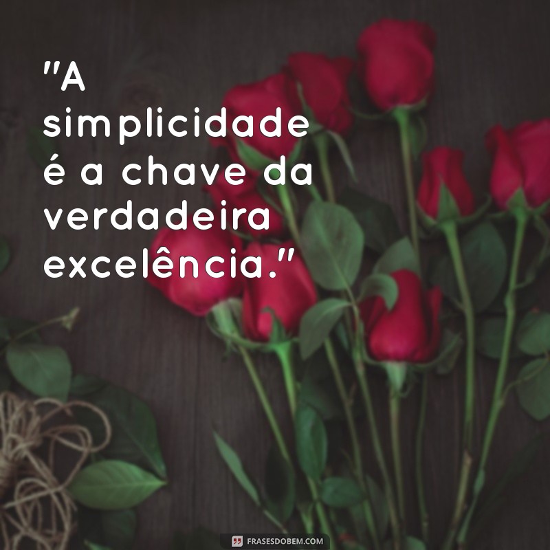 frases do bruce lee 