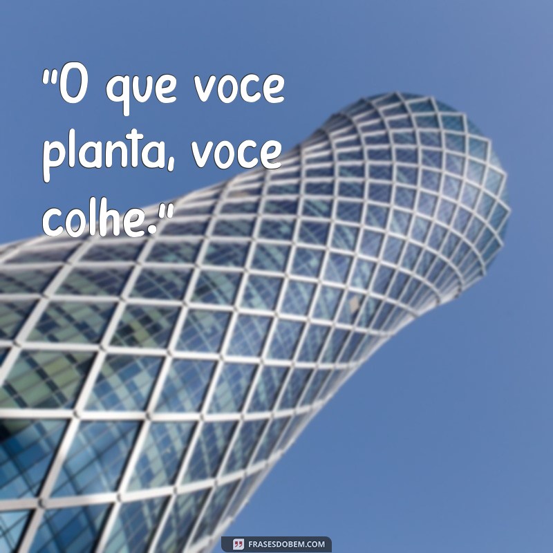 frases de lei do retorno para status 