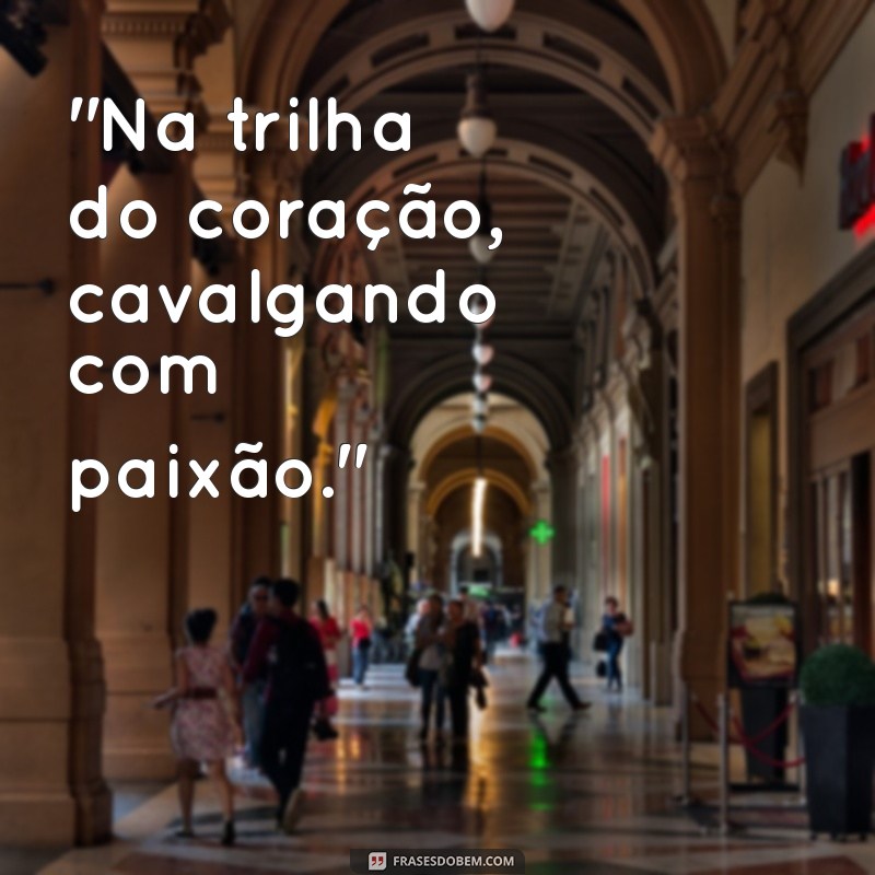 frases para camisa de cavalgada 