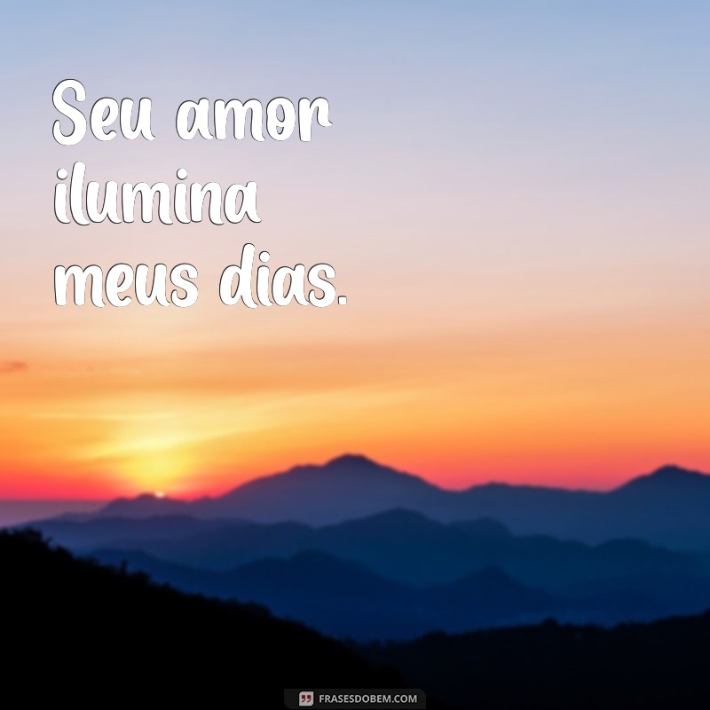 frases curtas de amor para esposa Seu amor ilumina meus dias.