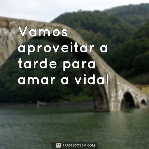 Frases de Boa Tarde para Compartilhar e Alegrar o Dia Vamos aproveitar a tarde para amar a vida!