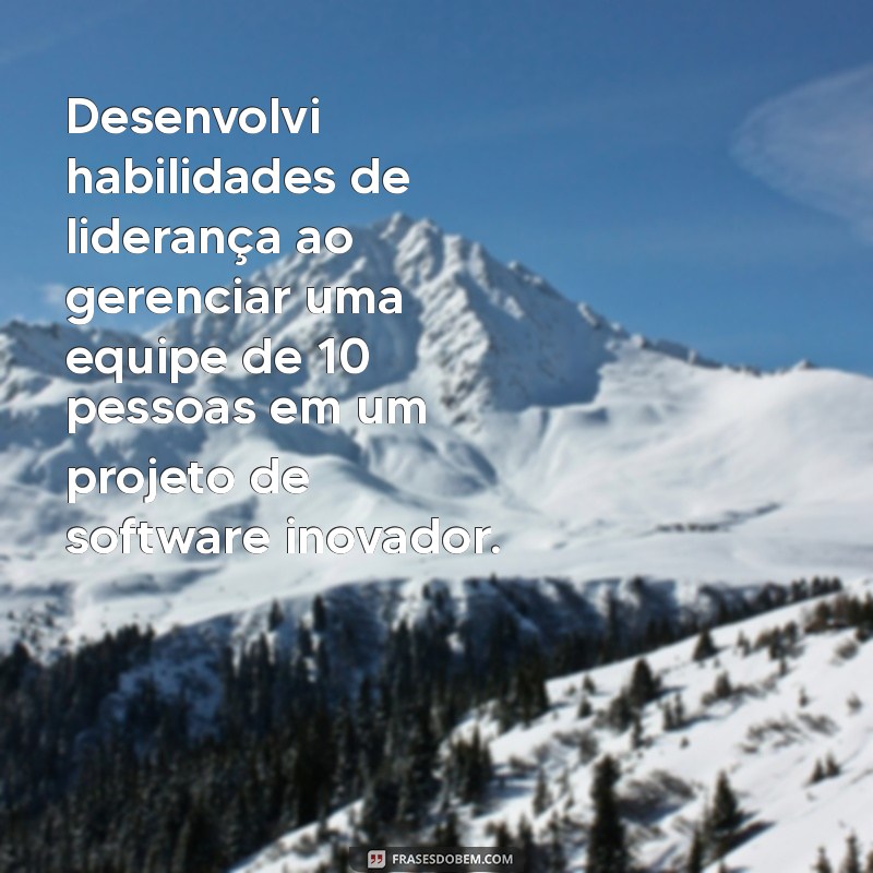 experiencia de trabalho Desenvolvi habilidades de liderança ao gerenciar uma equipe de 10 pessoas em um projeto de software inovador.