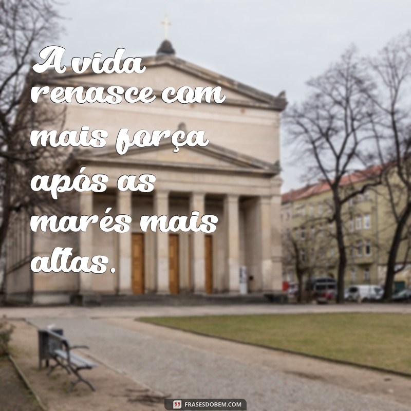 Frases Inspiradoras para um Novo Começo na Vida 