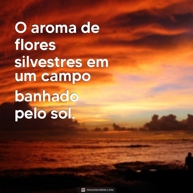 As Melhores Imagens com Frases Inspiradoras para Compartilhar 