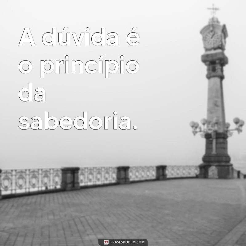 frases mais esperto que o diabo A dúvida é o princípio da sabedoria.