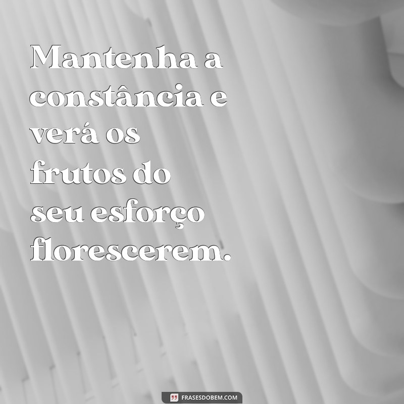 Como Manter a Constância: Dicas para Sustentar o Sucesso a Longo Prazo 