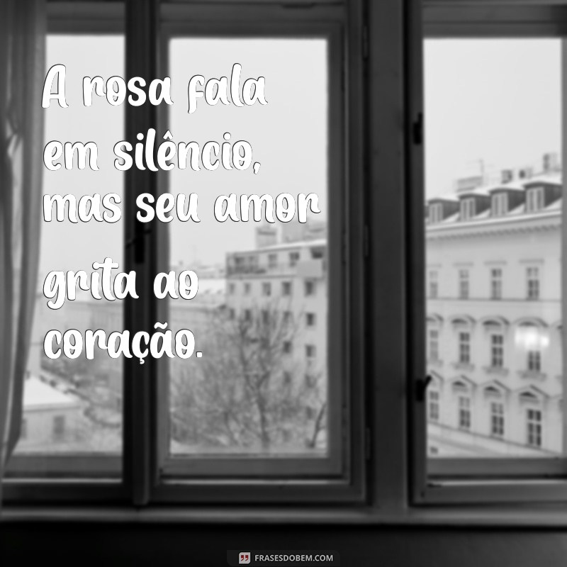 Frases Inspiradoras do Pequeno Príncipe Sobre a Rosa 