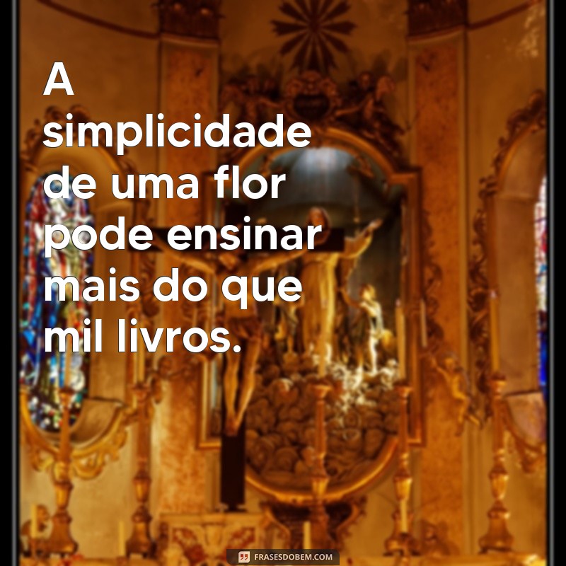 Frases Inspiradoras para Conectar-se com a Natureza 