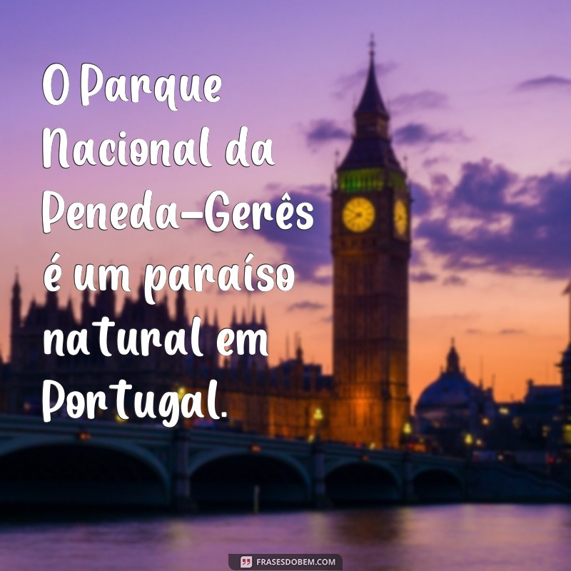 Descubra as mais autênticas e divertidas frases de Portugal para encantar e se inspirar 