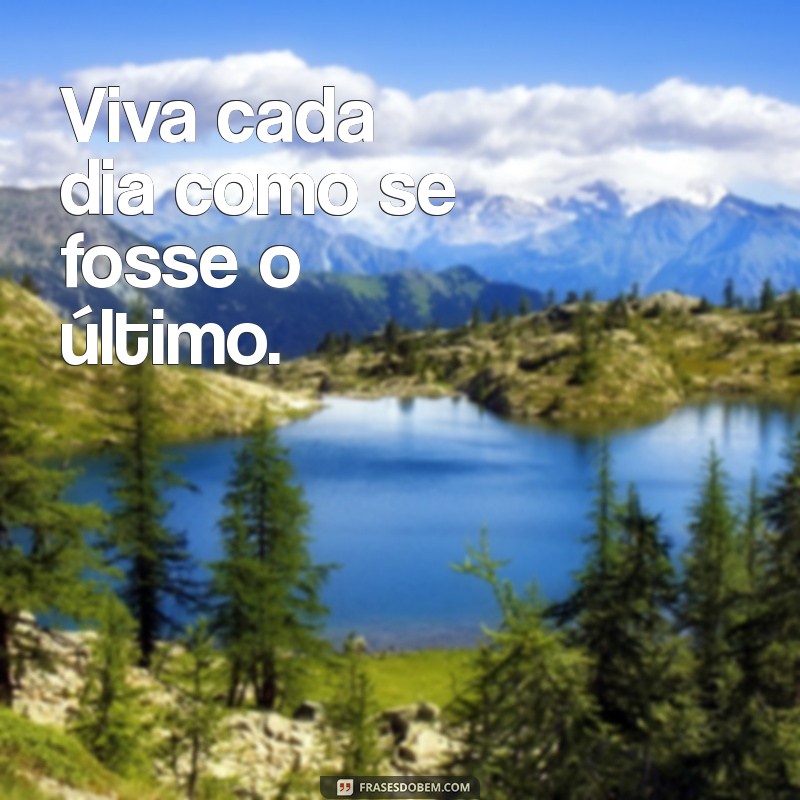 viver intensamente frases curtas Viva cada dia como se fosse o último.