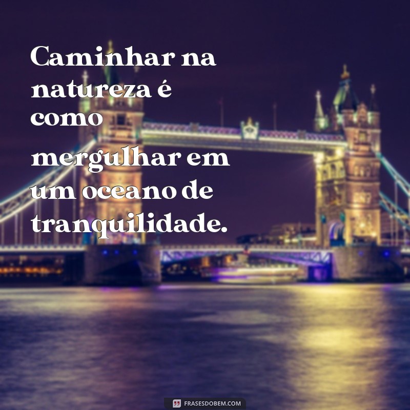 Descubra as melhores frases para legendar suas fotos na natureza 