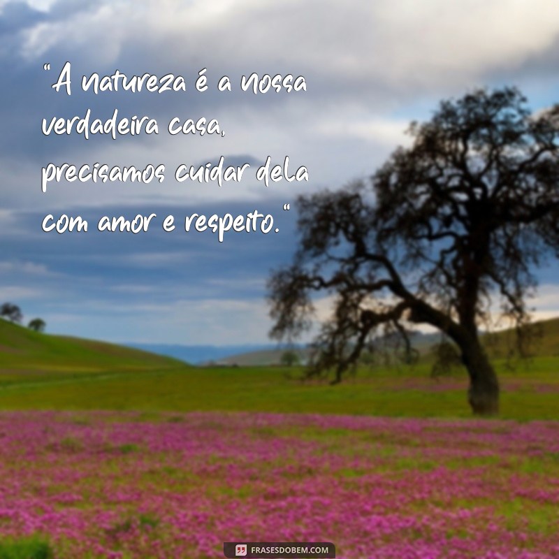 frases legenda para foto na natureza 