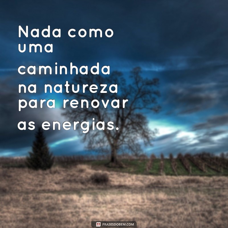 Descubra as melhores frases para legendar suas fotos na natureza 