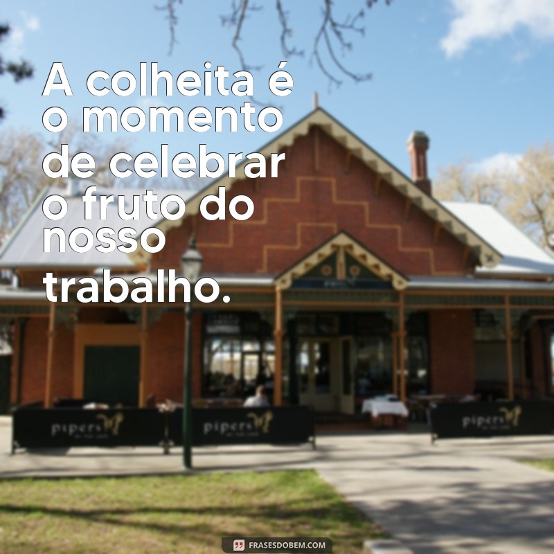 frases de colheita A colheita é o momento de celebrar o fruto do nosso trabalho.