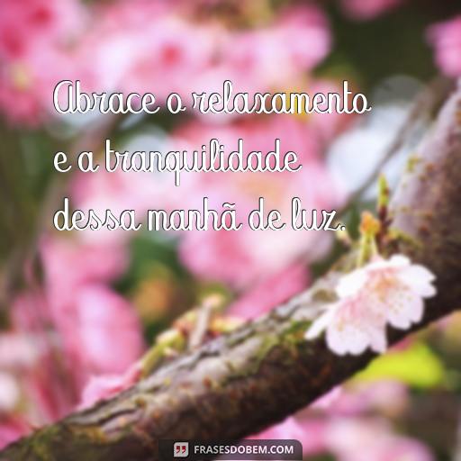 Mensagens de Luz para a Manhã de Hoje: Frases Inspiradoras para Começar o Seu Dia Abrace o relaxamento e a tranquilidade dessa manhã de luz.