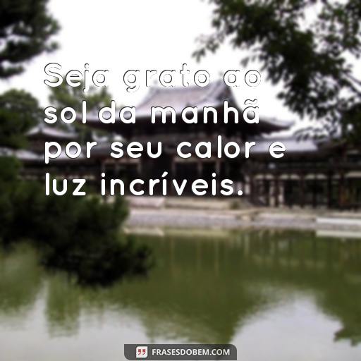 Mensagens de Luz para a Manhã de Hoje: Frases Inspiradoras para Começar o Seu Dia Seja grato ao sol da manhã por seu calor e luz incríveis.