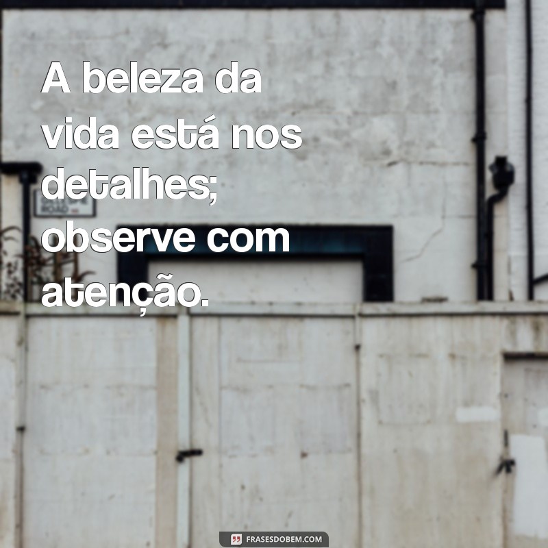 Frases Inspiradoras para Iluminar Seu Dia: Encontre a Motivação que Você Precisa 