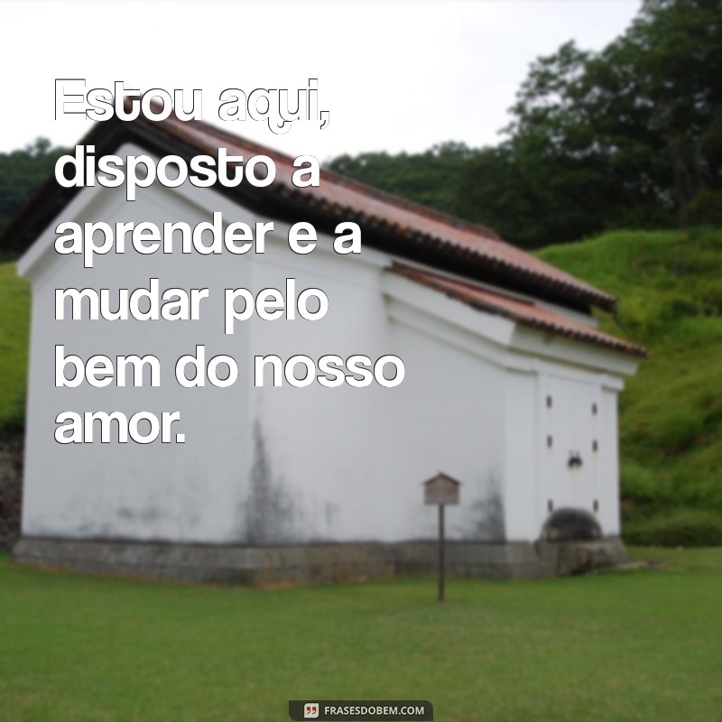 Frases de Perdão para Reconquistar o Amor da Sua Vida 