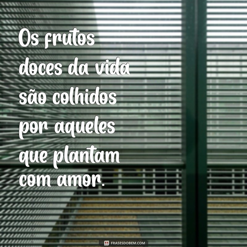 Colhemos o que Plantamos: A Profunda Verdade por Trás de Nossas Ações 