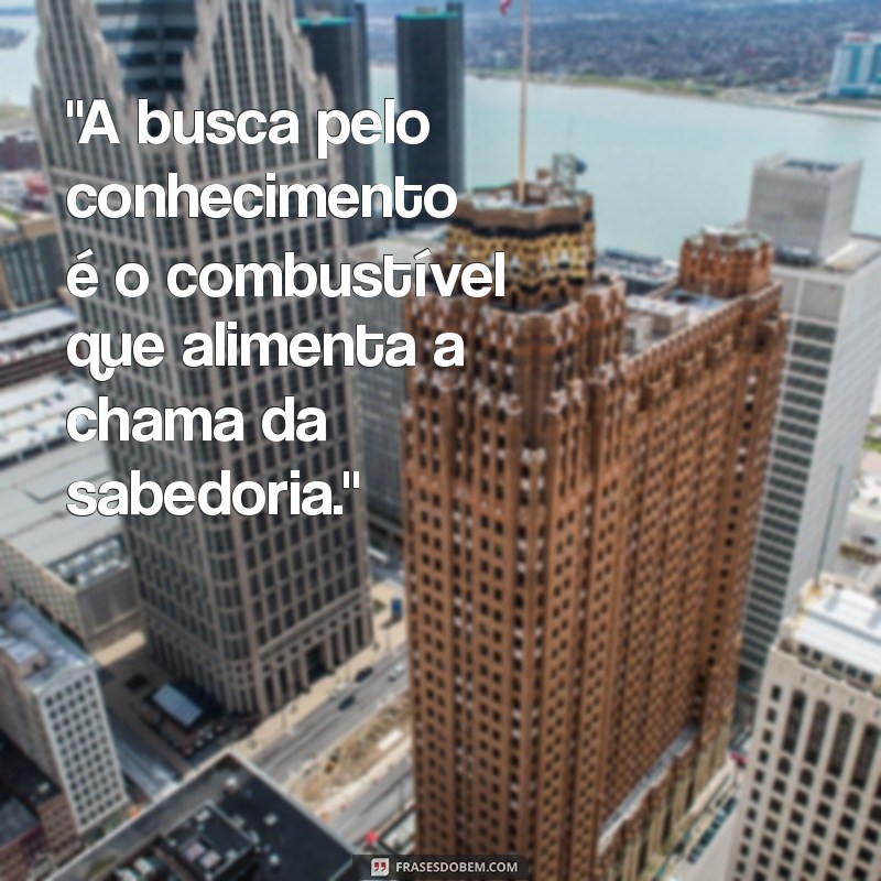 frases buscar conhecimento 