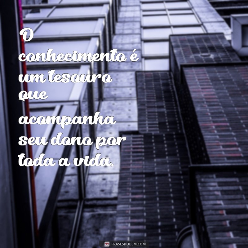 Descubra as Melhores Frases Inspiradoras para Buscar Conhecimento 