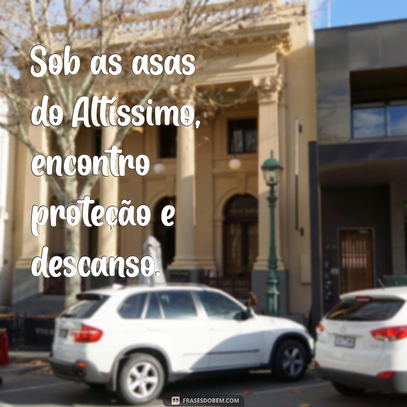 Frases Inspiradoras de Proteção de Deus para Usar no Seu Status 