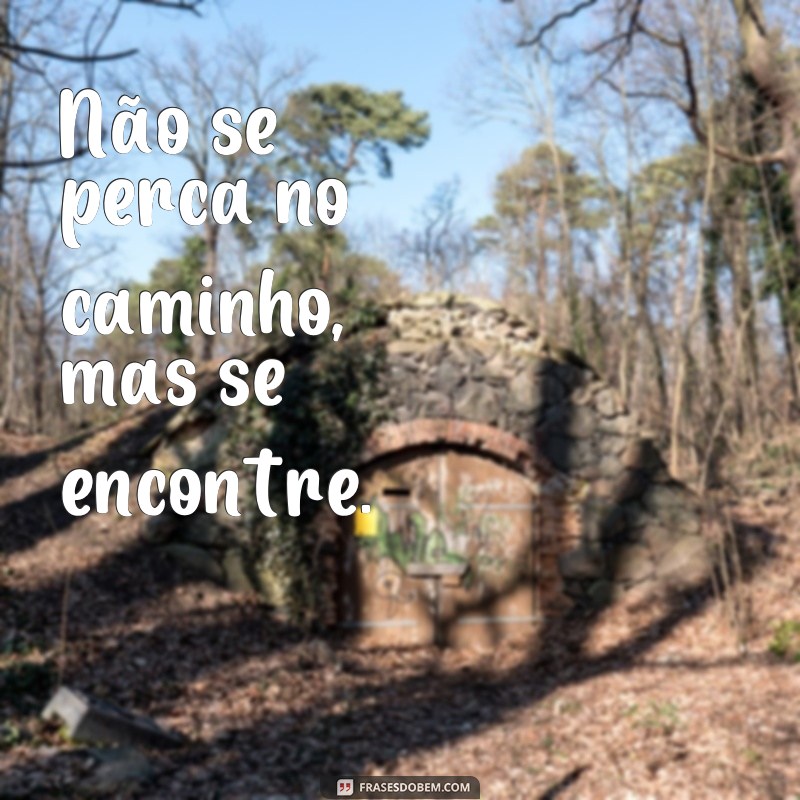 Descubra as melhores frases sobre o caminho para inspirar sua jornada 