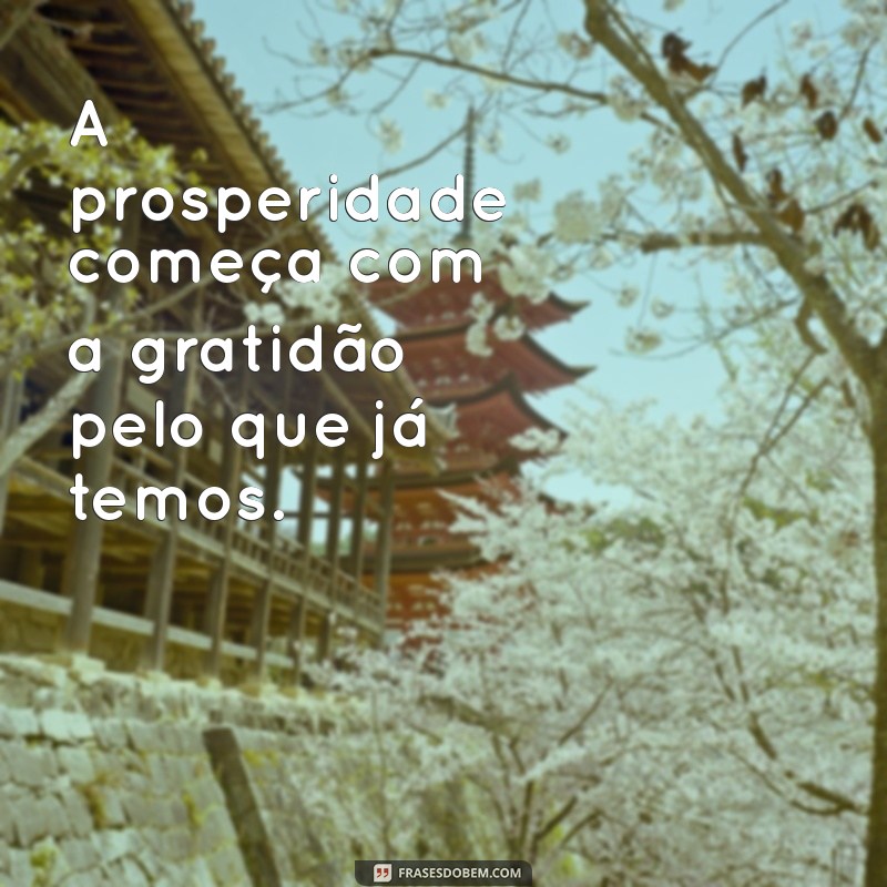 frases prosperidade A prosperidade começa com a gratidão pelo que já temos.