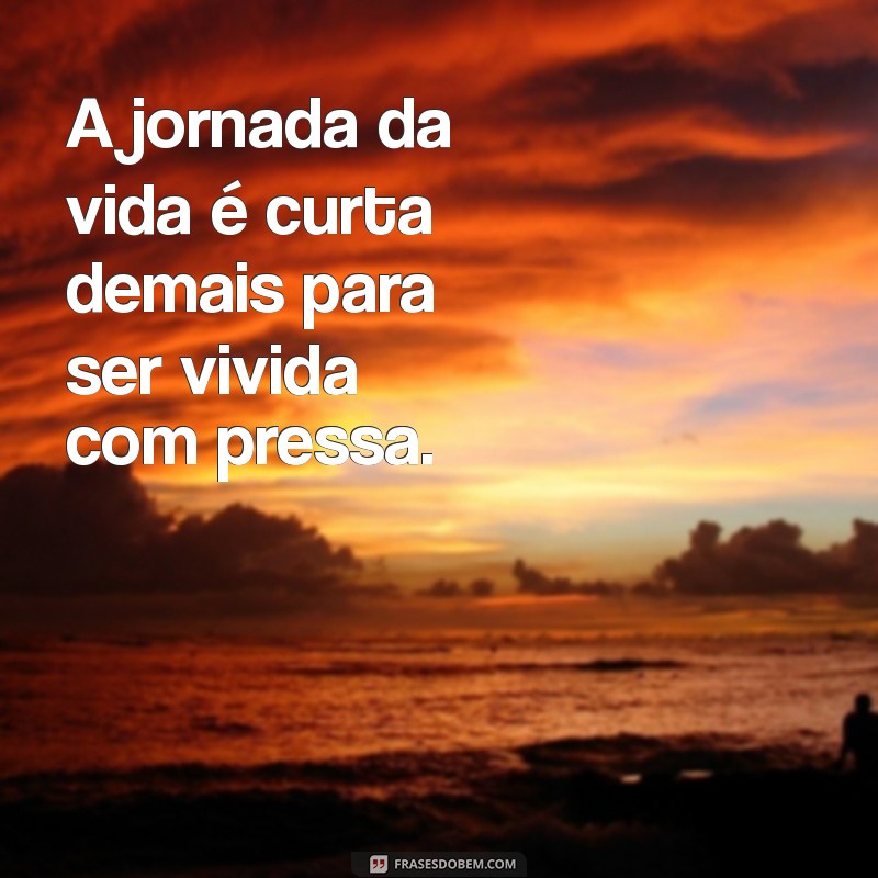 dede vital A jornada da vida é curta demais para ser vivida com pressa.