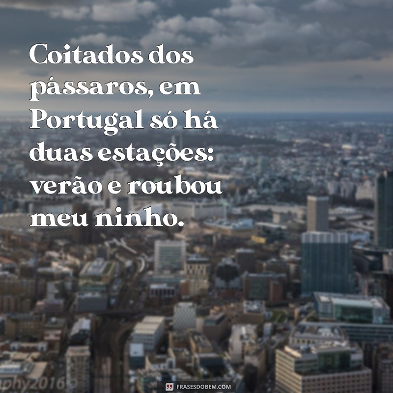 Descubra as melhores frases de Portugal engraçadas para alegrar o seu dia! 