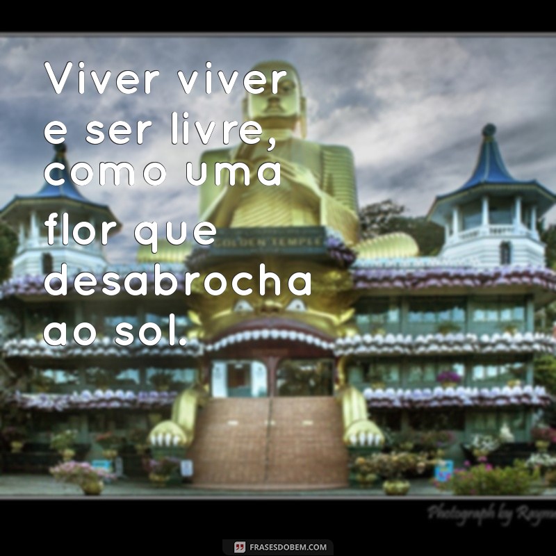 Como Viver Plenamente e Ser Livre: Dicas para uma Vida Autêntica 