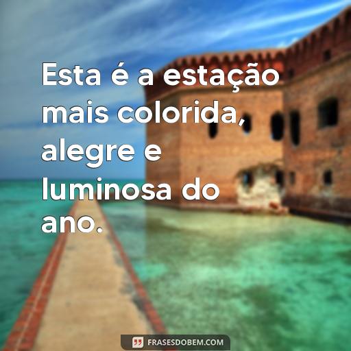 Frases de Alegria e Inspiração para o Mês de Dezembro Esta é a estação mais colorida, alegre e luminosa do ano.