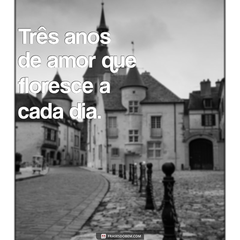 frases de 3 anos de casados Três anos de amor que floresce a cada dia.