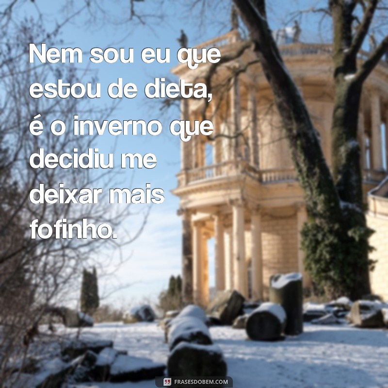 Divirta-se com as melhores frases de inverno engraçadas 