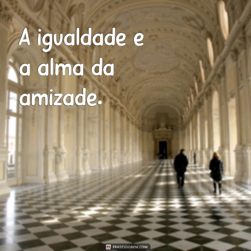 frases de aristóteles sobre igualdade A igualdade é a alma da amizade.