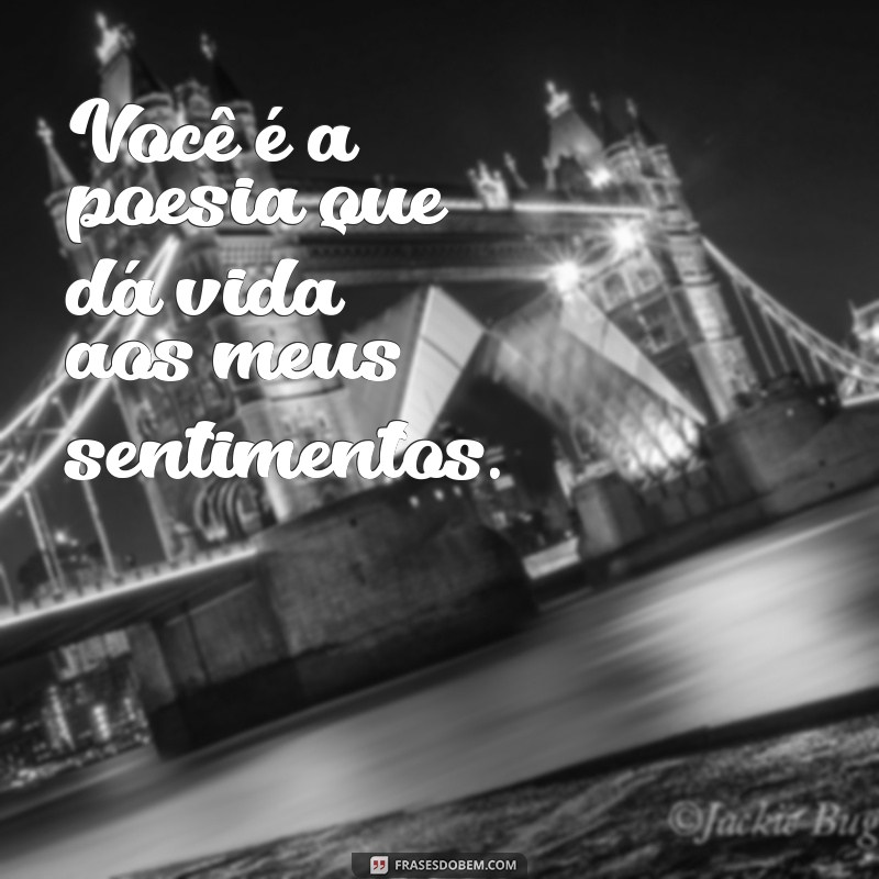 Frases Inspiradoras para Encantar uma Pessoa Especial no Amor 