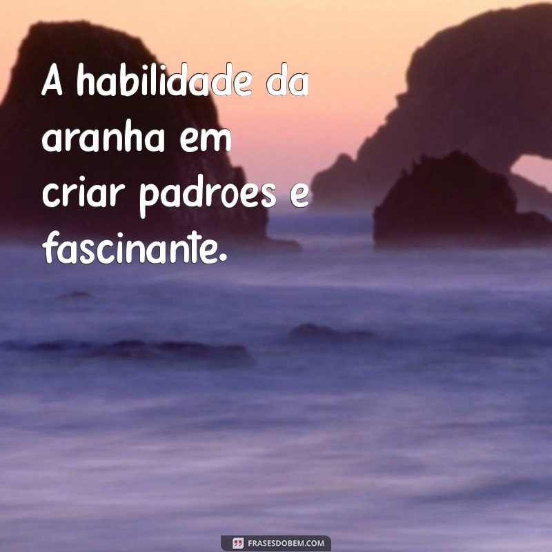 Frases Criativas e Inspiradoras com a Palavra Aranha 