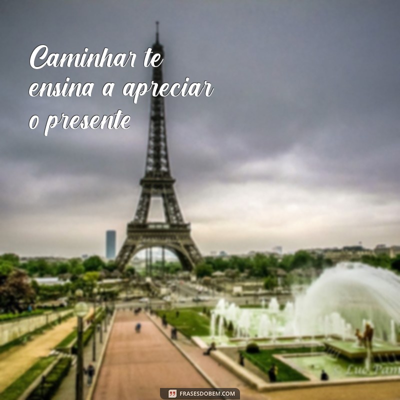 Frases Inspiradoras para a Caminhada da Vida: Encontre Motivação e Sabedoria 