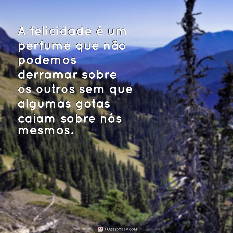 As Mais Belas Frases para Inspirar Seu Dia 