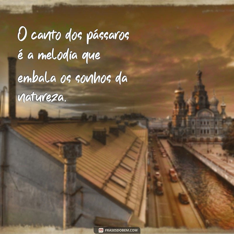 As Mais Belas Frases para Inspirar Seu Dia 